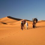 foum zguid desert