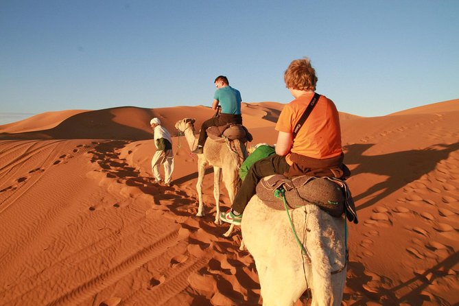 desert foum zguid