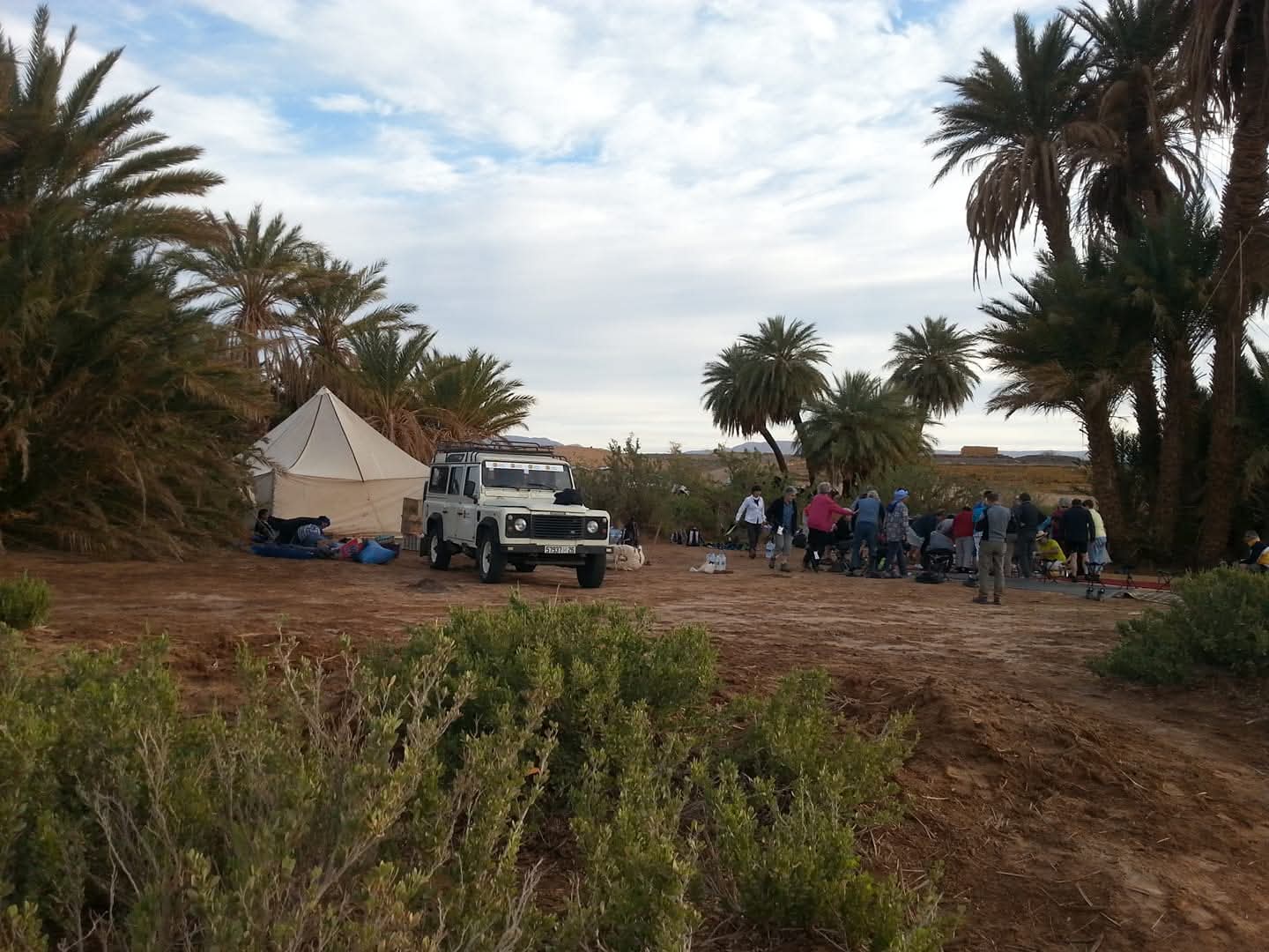 Excursion d’une journée à l’oasis Laarjimia depuis Foum Zguid