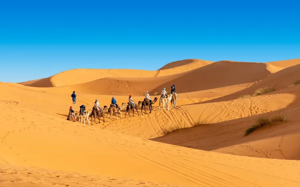 desert foum zguid